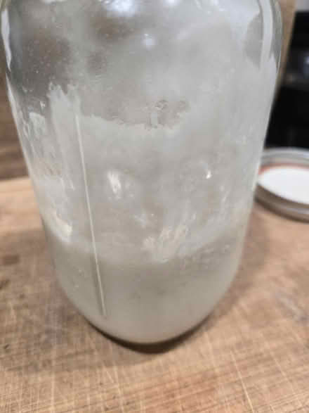 Photo of free Sour dough starter (Near Aberdeen train station) #2