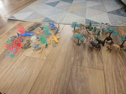 Photo of free Plastic Animal set (NG2) #1
