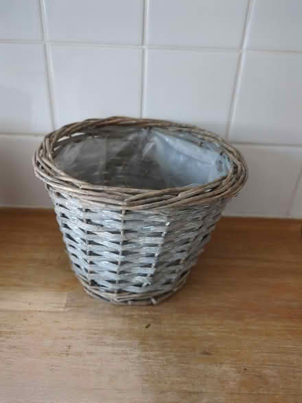 Photo of free Indoor plant container (Twickenham TW2) #1