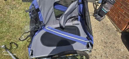 Photo of free Dog trailer for push bike (Watford WD24) #4