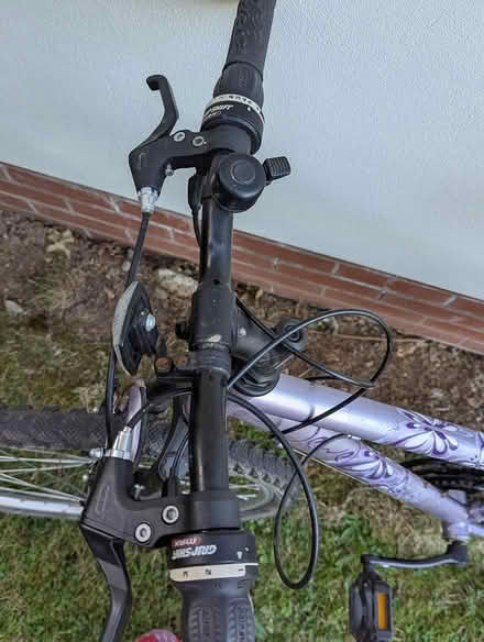 Photo of free Ladies bike (Barnards Green WR14) #3