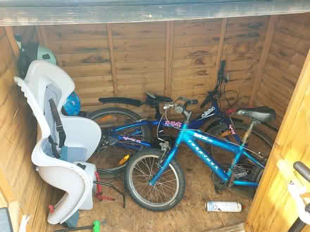 Photo of free Bike shed (SW18) #1