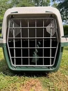 Photo of free Grey Pet Carrier (Balcombe RH17) #1