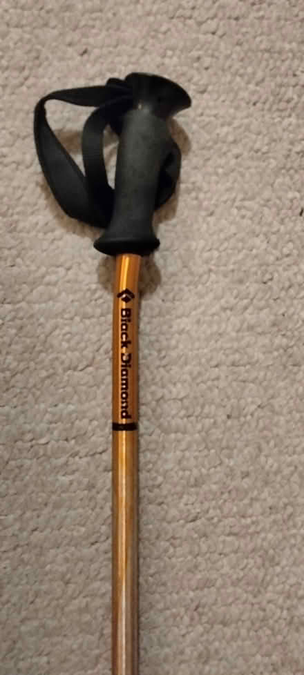 Photo of free 40" metal walking stick (CapitolHill DC (CapSouthMetro)) #2