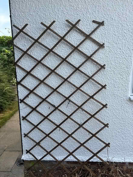 Photo of free Trellis (Bookham, Leatherhead) #1