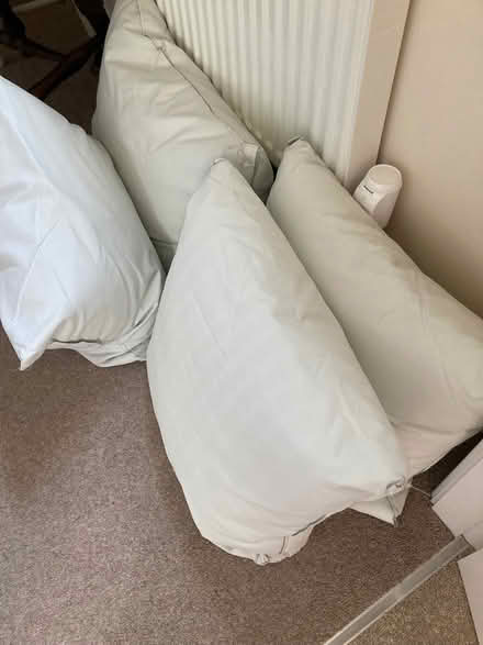 Photo of free 4 large feather cushions. (Mickleover DE3) #1