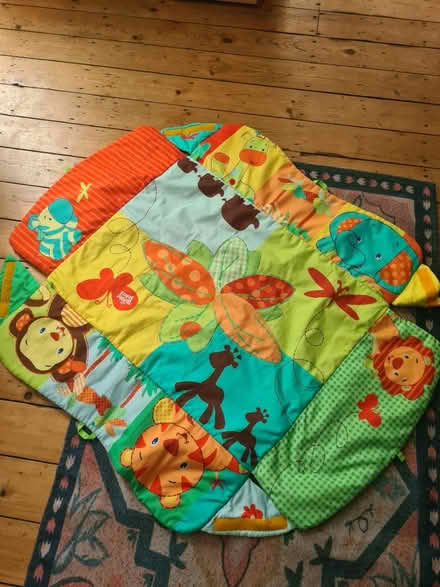 Photo of free Baby mat (Wood green) #1