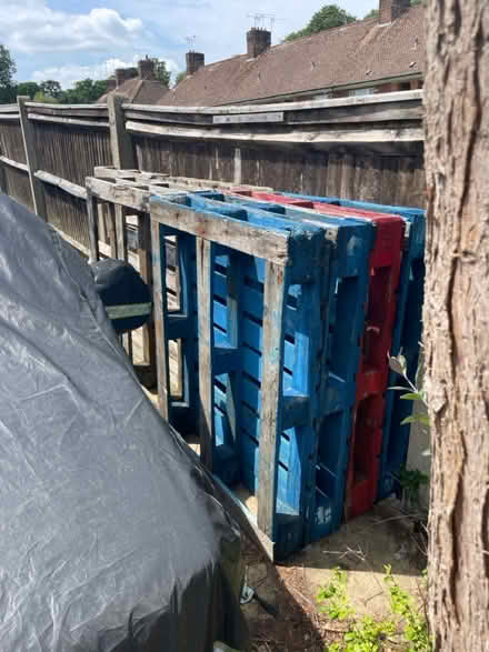 Photo of free Pallets (Sevenoaks TN13) #2