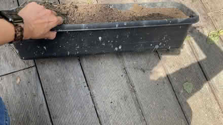 Photo of free Window Boxes x 3 (N6 Highgate High Street) #3