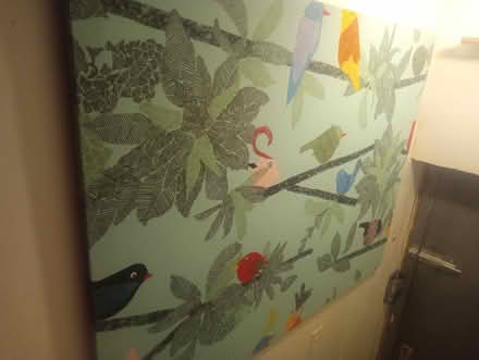 Photo of free Curb Alert-20+ framed paintings ++ (Kensington, Brooklyn) #1