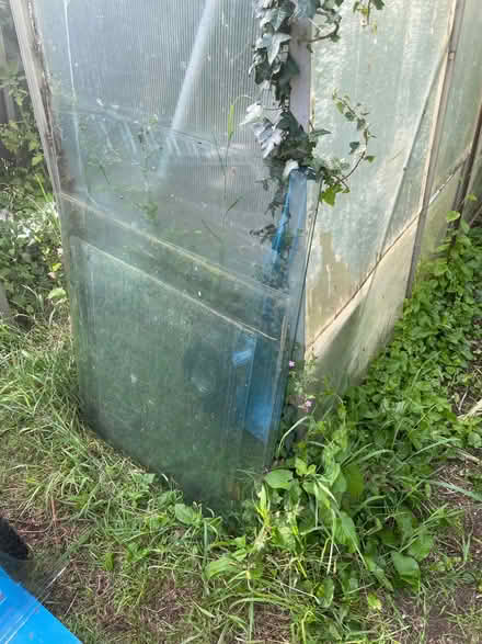 Photo of free Greenhouse glass (Bussage GL6) #1
