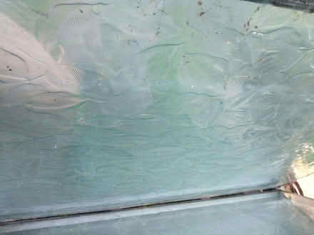 Photo of free Double glazed window panels (Castlemorton Common WR13) #3