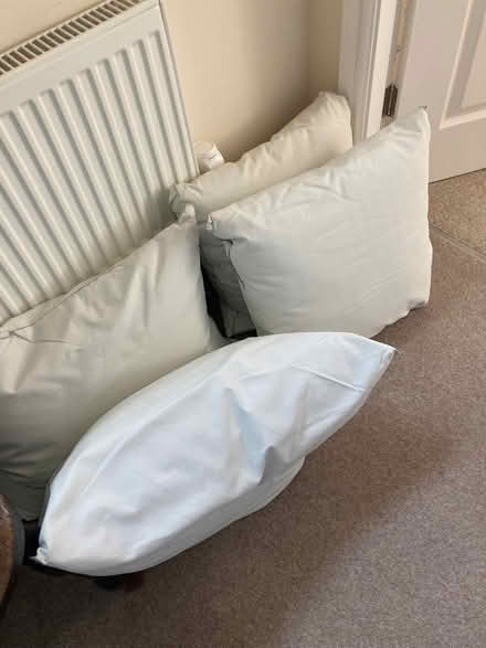 Photo of free 4 large feather cushions. (Mickleover DE3) #2