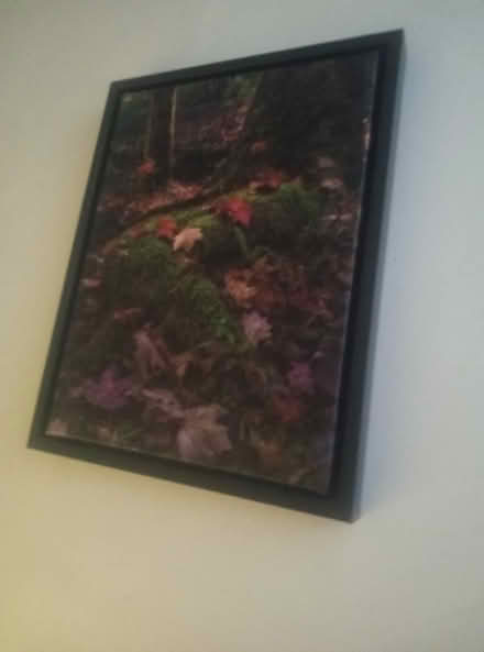 Photo of free Curb Alert-20+ framed paintings ++ (Kensington, Brooklyn) #2