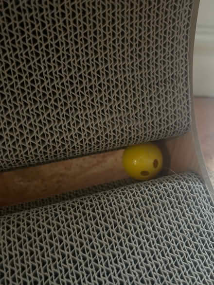 Photo of free Cat Scratching Post (Wirksworth DE4) #3