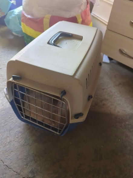Photo of free Large Cat carrier (Frenchay BS16) #1