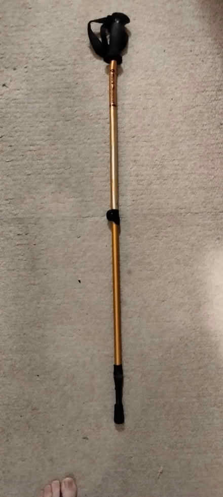 Photo of free 40" metal walking stick (CapitolHill DC (CapSouthMetro)) #1