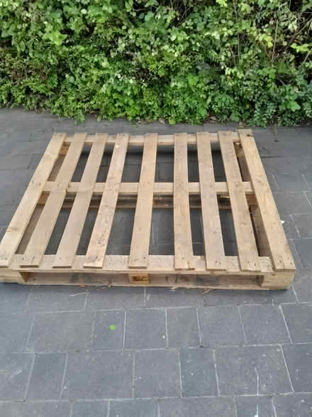 Photo of free Wood pallet (Ashington NE63) #1