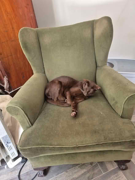 Photo of free Armchair (Blackrock / Stillorgan.) #1