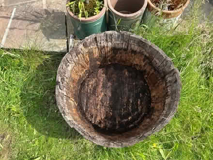Photo of free Whisky barrel planter (Turton BL7) #2