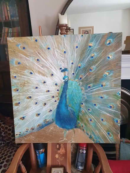 Photo of free Peacock Canvas (Ashbourne DE6 1) #1