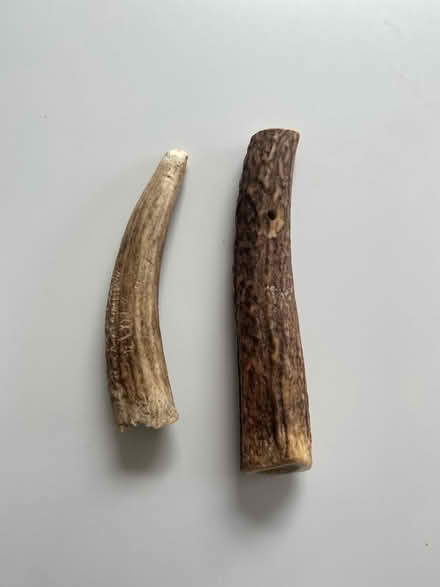 Photo of free Antler dog chews “Stag Bar” (Wanstead E11) #1