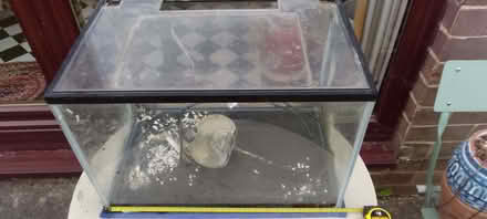 Photo of free Small fishtank and pump (Headingley LS4) #1