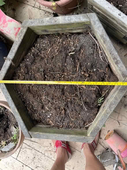 Photo of free Set of TWO wooden planters (N6 Highgate High Street) #2
