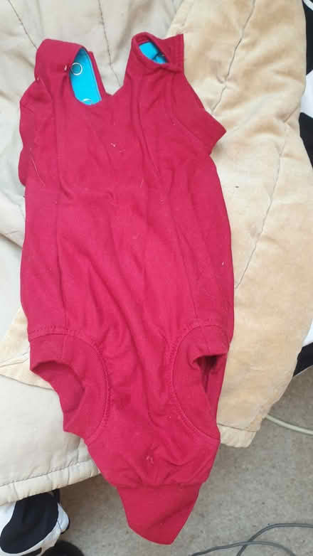 Photo of free Cat/kitten suit for post-spaying (Hove Green BN3) #1