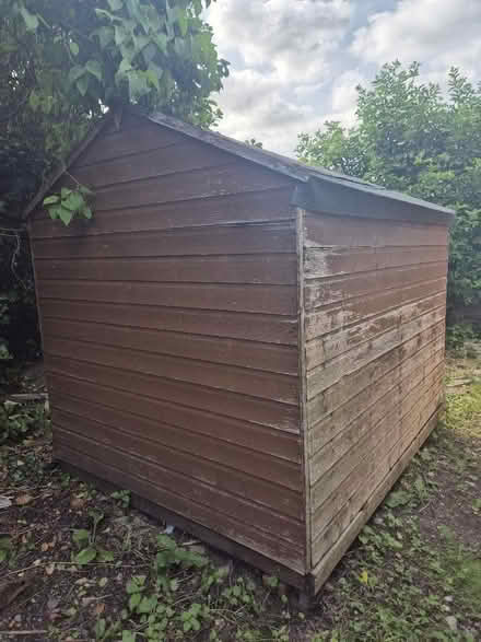 Photo of free Garden shed (Witney OX28) #2