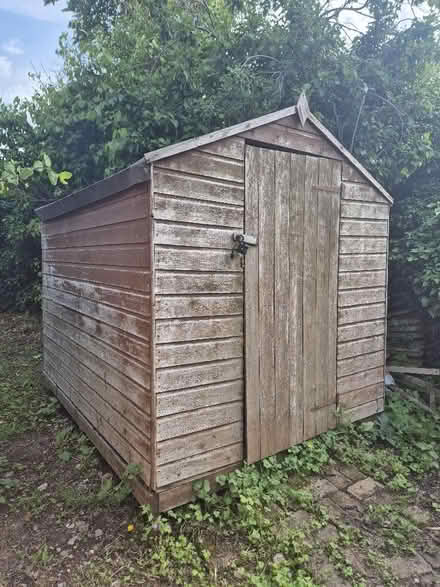 Photo of free Garden shed (Witney OX28) #1