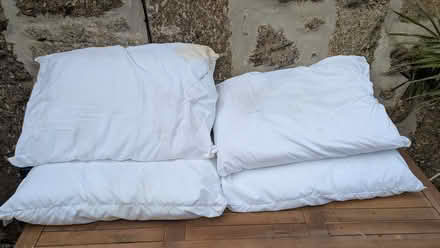 Photo of free Pillows x4 (Kelynack TR19) #1