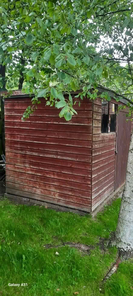 Photo of free Garden shed (West Derby L11) #3