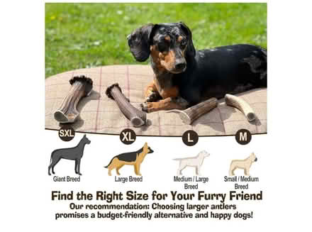 Photo of free Antler dog chews “Stag Bar” (Wanstead E11) #2