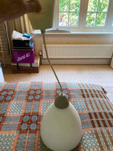 Photo of free Ceiling lamp with glass shade (Hertford Heath SG13) #1
