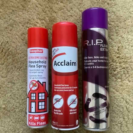 Photo of free Household flea sprays (Widmore BR2) #1