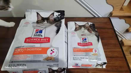 Photo of free Cat Food - unopened bags (Kensington) #1