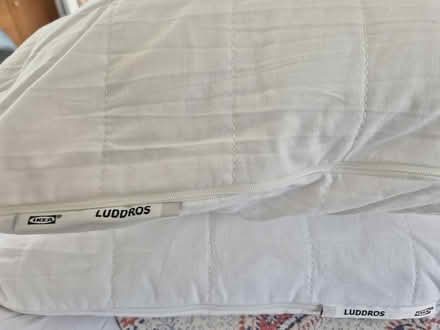 Photo of free Double duvet and pair of pillows (Taunton Killams & Mountfield District Ward TA1) #3