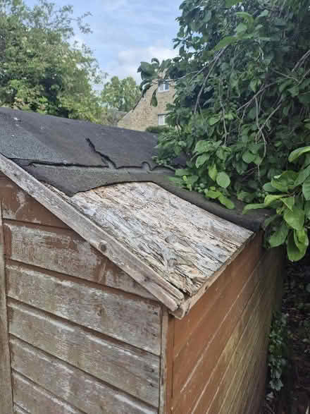 Photo of free Garden shed (Witney OX28) #4