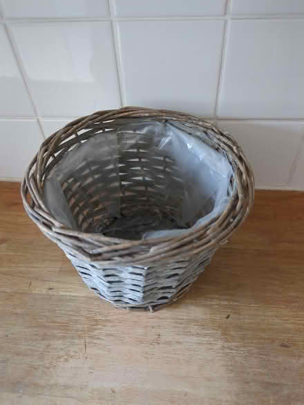 Photo of free Indoor plant container (Twickenham TW2) #2