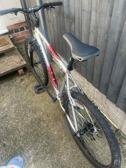 Photo of free Mountain bike for adults (DE24) #2