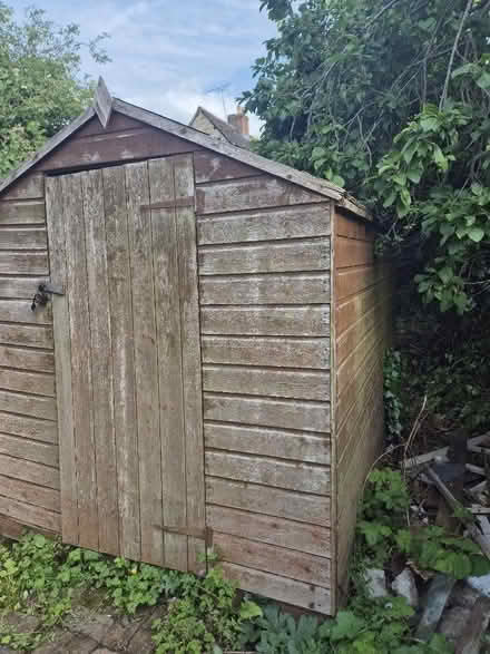 Photo of free Garden shed (Witney OX28) #3