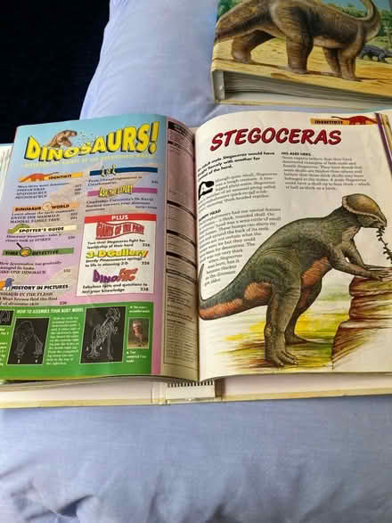 Photo of free Collection of dinosaur magazines in binders (Dursley GL11) #3