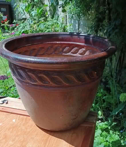 Photo of free Large plant pot (Hailsham) #2