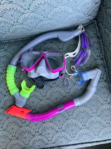 Photo of free Snorkeling Gear (North Berkeley) #1