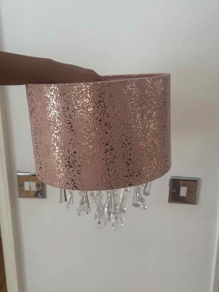 Photo of free Lightshade (Brixton SW2) #1