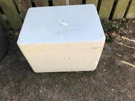 Photo of free Polystyrene box (Blewbury OX11) #2