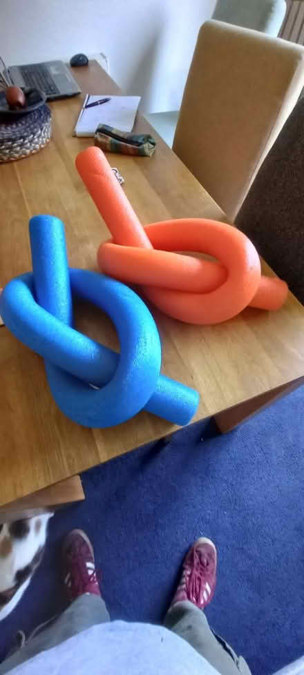 Photo of free Pool Noodles (Highworth SN6) #1
