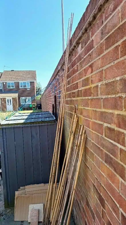 Photo of free Bamboo canes (Theale RG7) #2
