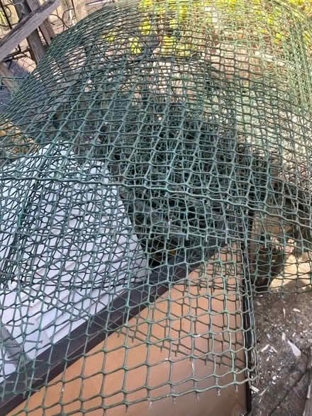 Photo of free Green plastic garden netting (Stamford Brook) #1
